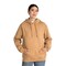 Gildan Heavy Blend Hooded Sweatshirt for Winter, Lounge wear & Everyday Comfort Wear